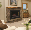 Flame Insert 28