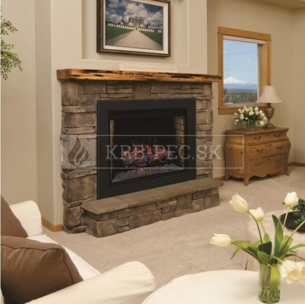Flame Insert 28