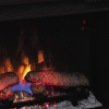 Flame Insert 28